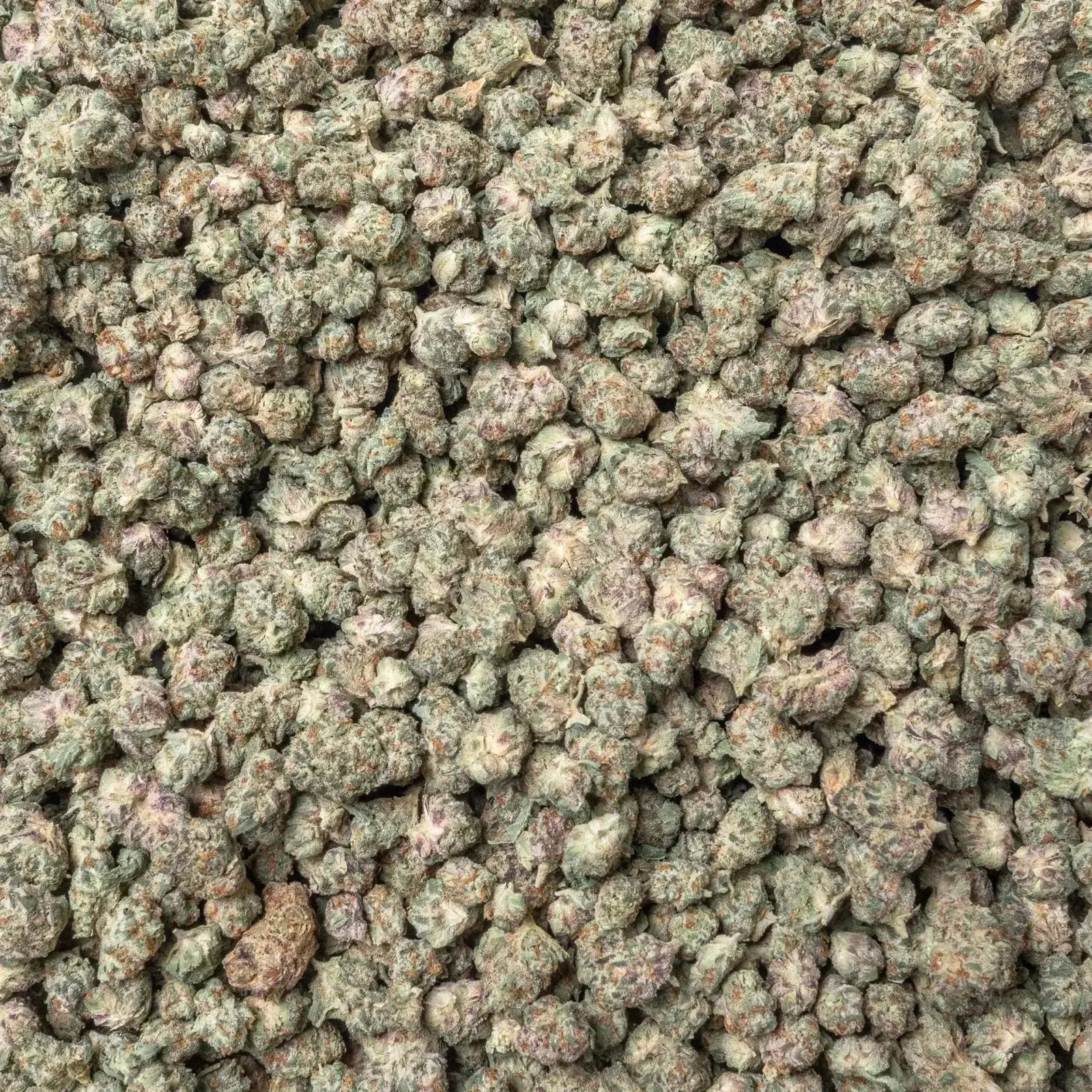 THCa Flower in New Jersey